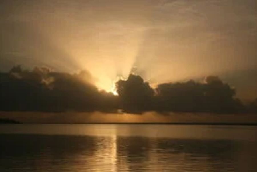 Horizontes para defensoras, protección feminista